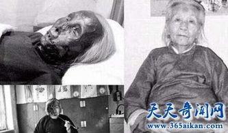 猫脸老太太视频,网络热议背后的真相揭秘