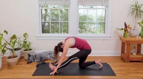 40分钟瑜伽视频,轻松塑形、缓解压力的身心之旅